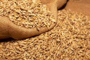 ministrul-agriculturii-anunta-productii-record-obtinute-de-fermierii-nostri