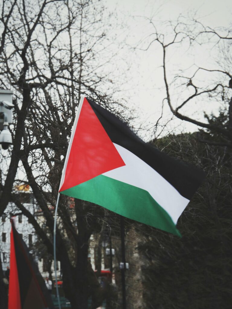primari-din-franta-inalta-steagul-palestinian,-sfidand-ordinul-guvernului