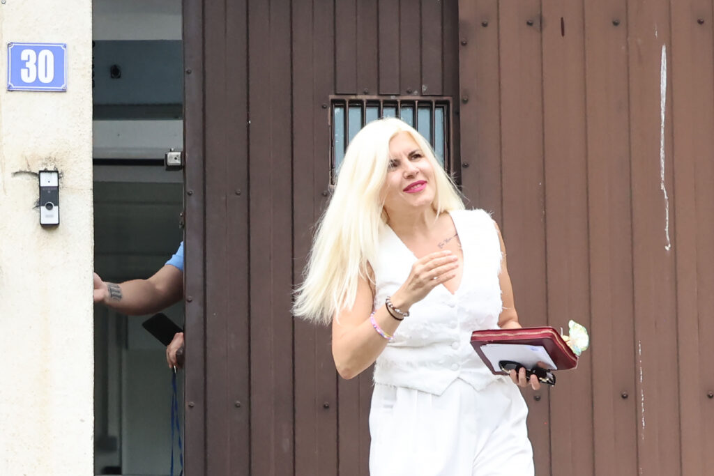 elena-udrea,-reactie-in-cazul-dianei-sosoaca:-„e-un-precedent-periculos”