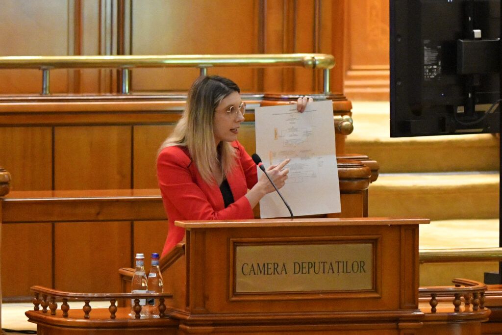 motiunea-simpla-impotriva-ministrului-mediului,-diana-buzoianu,-a-fost-respinsa