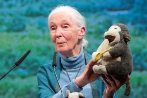 jane-goodall,-renumita-experta-in-cimpanzei,-a-murit-la-91-de-ani