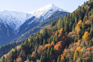 spectacol-sportiv-in-muntii-kackar:-mii-de-alergatori-din-lume-au-cucerit-potecile-marii-negre