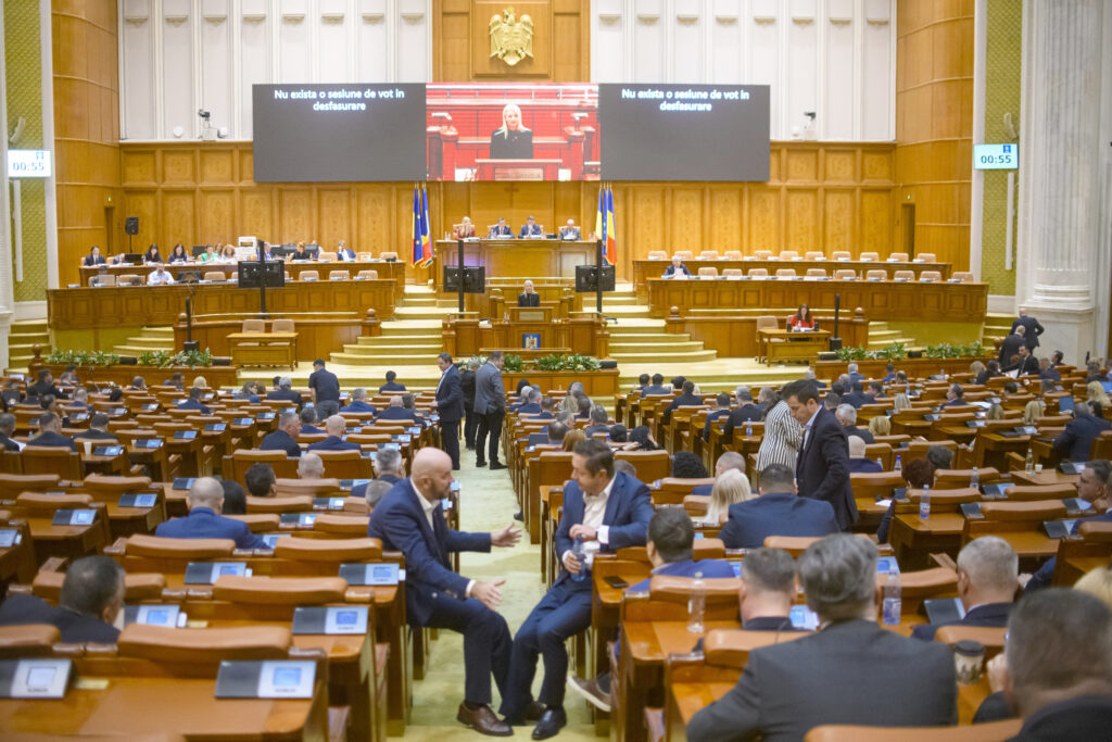 legea-femicidului,-depusa-in-parlament-cu-sprijinul-a-peste-250-de-parlamentari