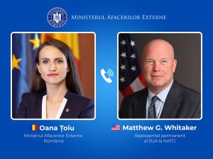 oana-toiu,-discutie-cu-ambasadorul-sua-la-nato