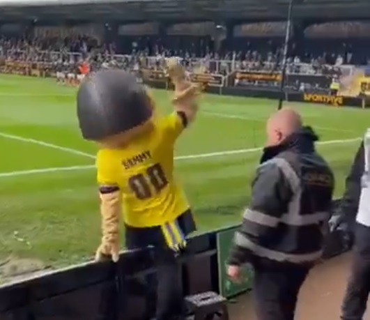 mascota-„sammy-the-saint”,-beata,-a-fost-eliminata-de-pe-teren-in-timpul-unui-meci-din-fa-cup