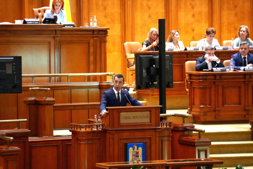 presedintele-pnl-mures:-primariile-vor-putea-externaliza-serviciile-pentru-gestionarea-cainilor-fara-stapan